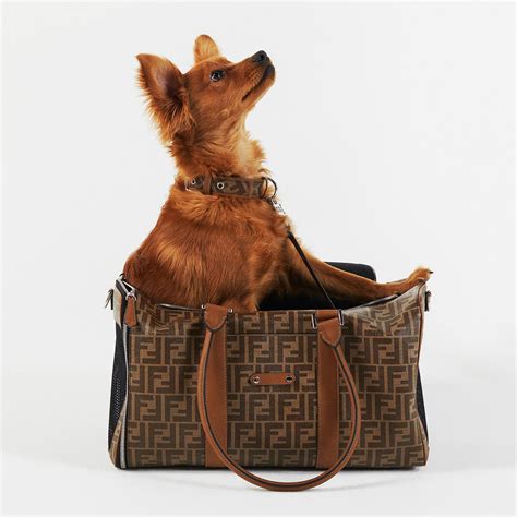 fully fendi pet|Pet Accessories .